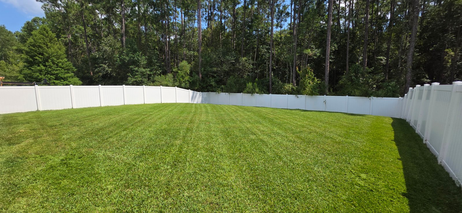 Freshly mowed fenced backyard