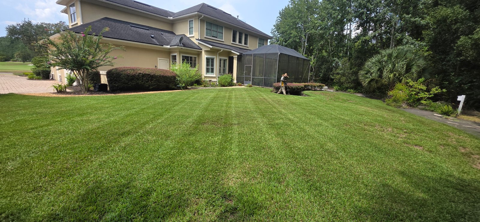 Maintained lawn at a residential property