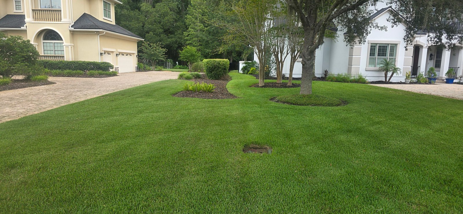 Detailed lawn and landscaped driveway